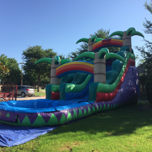 Purple Tropical Water Slide