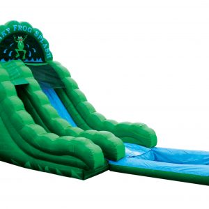 Freaky Frog Water Slide