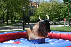 Mechanical Bull Rental