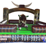 Mechanical Bull Rental