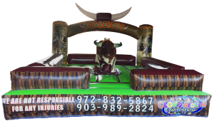 Mechanical Bull Rental