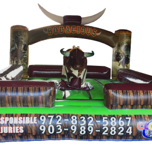 Mechanical Bull Rental