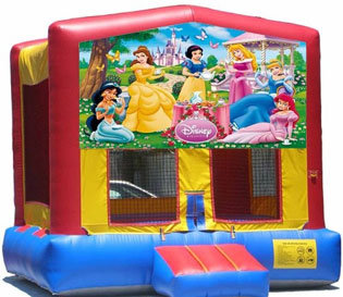 PDisney Princess Bounce House Rental