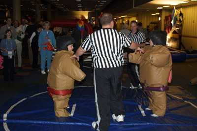 Sumo Wrestling Interactive Games